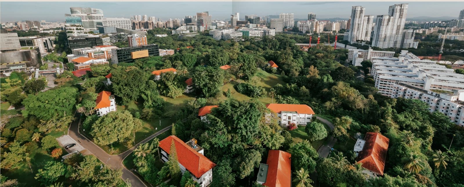 Aerial photograph of the Wessex Estate: black-and-white houses with red roofs among mature trees, with one-north's office and research buildings and public housing blocks behind.
